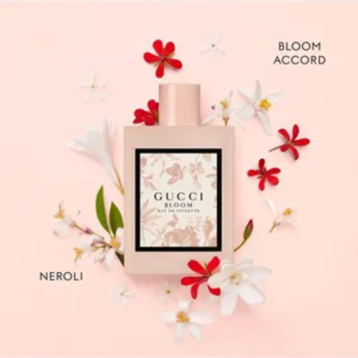 Gucci Bloom perfume bottle with flowers on a pink background
