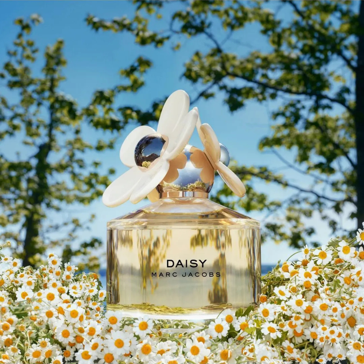Marc Jacobs Daisy perfume bottle with flowers in the background